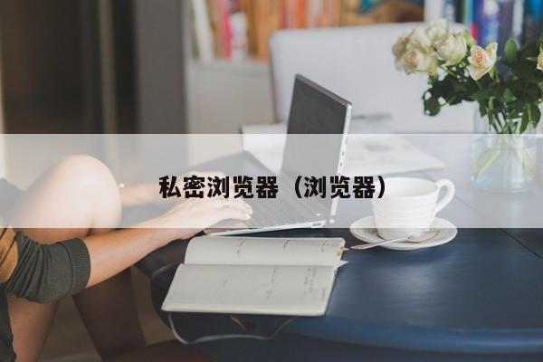 私密浏览器（浏览器）