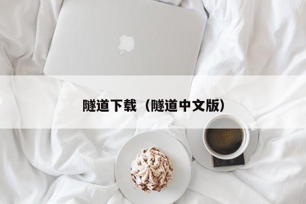 隧道下载（隧道中文版）