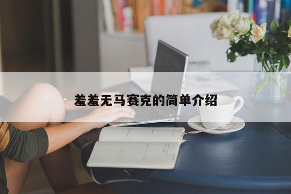 羞羞无马赛克的简单介绍