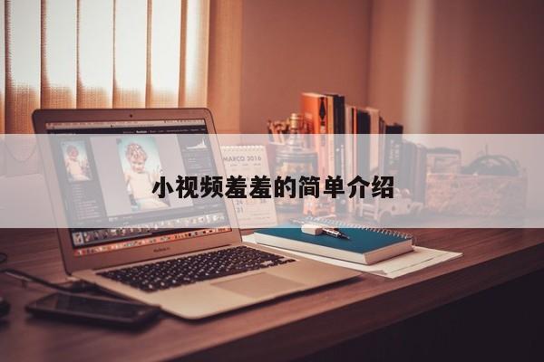 小视频羞羞的简单介绍