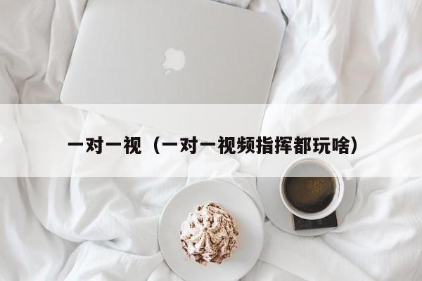 一对一视（一对一视频指挥都玩啥）