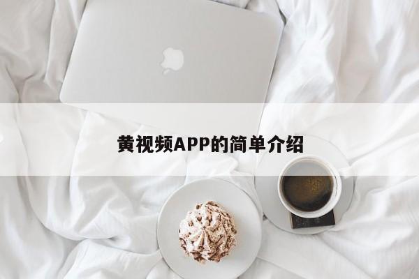 黄视频APP的简单介绍