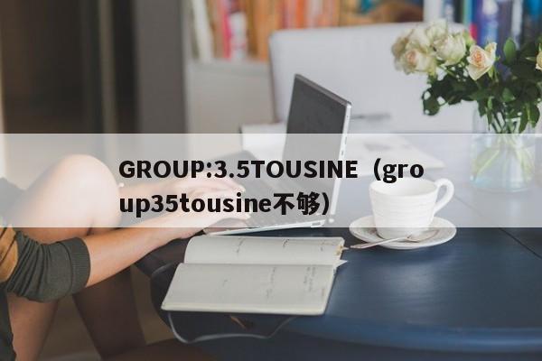 GROUP:3.5TOUSINE（group35tousine不够）
