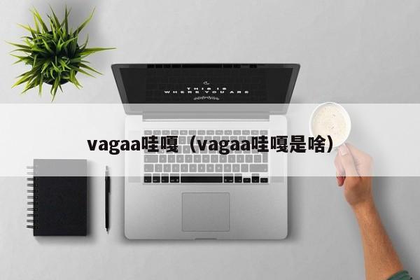 vagaa哇嘎（vagaa哇嘎是啥）