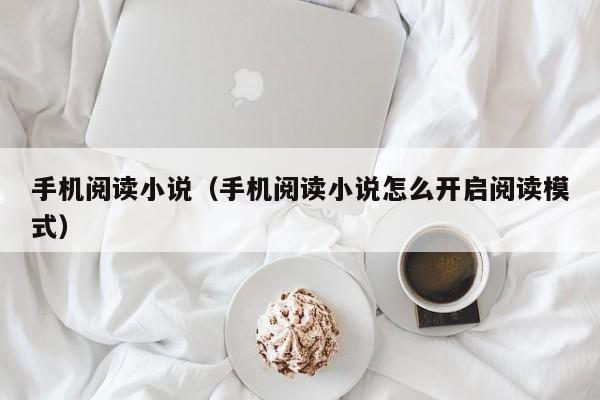 手机阅读小说（手机阅读小说怎么开启阅读模式）