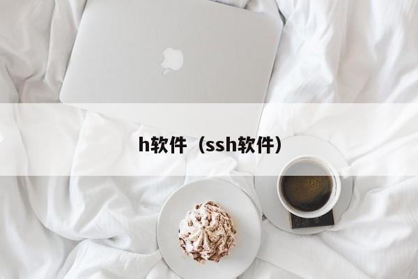 h软件（ssh软件）