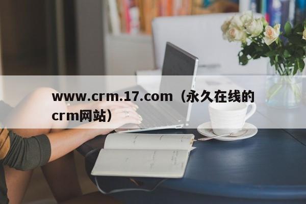 www.crm.17.com（永久在线的crm网站）