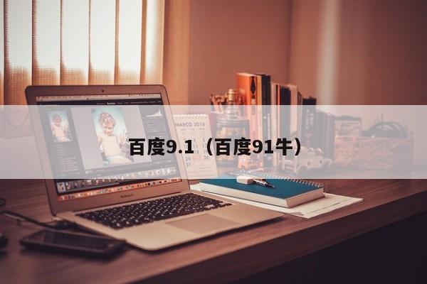 百度9.1（百度91牛）