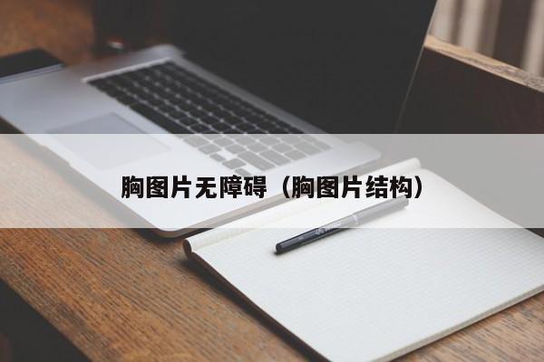 胸图片无障碍(胸图片结构)