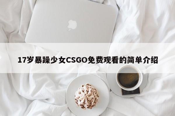 17岁暴躁少女CSGO免费观看的简单介绍