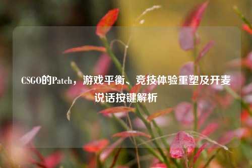 CSGO的Patch，游戏平衡、竞技体验重塑及开麦说话按键解析