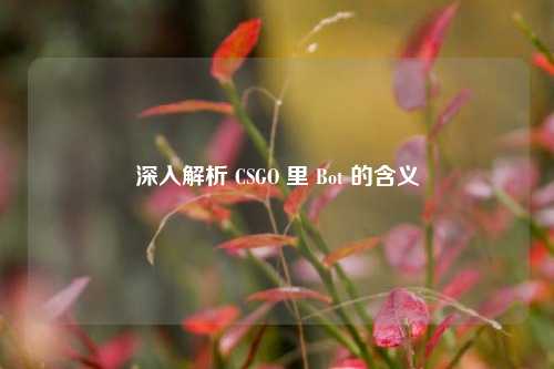 深入解析 CSGO 里 Bot 的含义