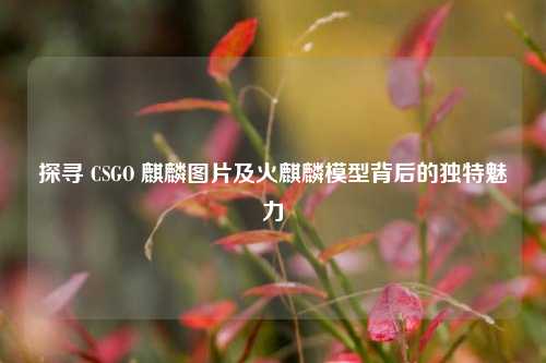 探寻 CSGO 麒麟图片及火麒麟模型背后的独特魅力