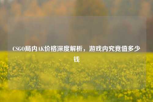 CSGO局内AK价格深度解析，游戏内究竟值多少钱