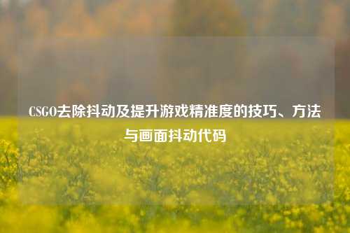 CSGO去除抖动及提升游戏精准度的技巧、方法与画面抖动代码