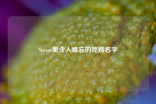 Steam里令人难忘的吃鸡名字