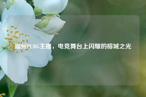福州PUBG主播，电竞舞台上闪耀的榕城之光