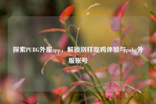 探索PUBG外服app，解锁别样吃鸡体验与pubg外服账号