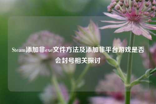 Steam添加非exe文件方法及添加非平台游戏是否会封号相关探讨