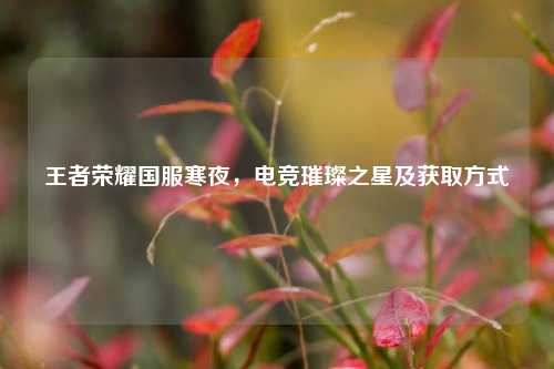 王者荣耀国服寒夜，电竞璀璨之星及获取方式