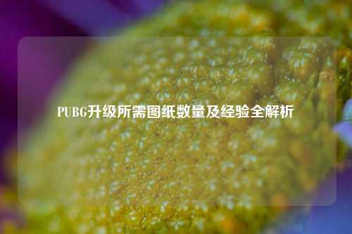 PUBG升级所需图纸数量及经验全解析