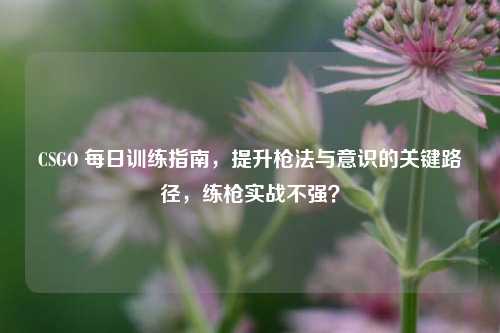 CSGO 每日训练指南，提升枪法与意识的关键路径，练枪实战不强？