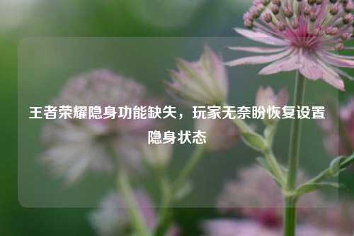 王者荣耀隐身功能缺失，玩家无奈盼恢复设置隐身状态