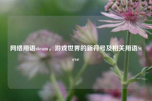 网络用语steam，游戏世界的新符号及相关用语Steve