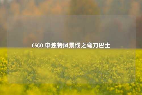 CSGO 中独特风景线之弯刀巴士