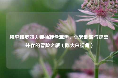 和平精英邓大帅抽转盘军需,体验刺激与惊喜并存的冒险之旅(陈大白视角)
