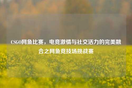 CSGO网鱼比赛，电竞激情与社交活力的完美融合之网鱼竞技场挑战赛