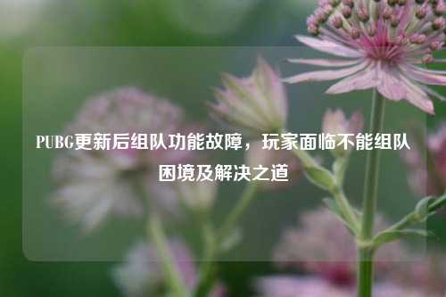 PUBG更新后组队功能故障，玩家面临不能组队困境及解决之道