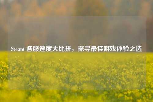 Steam 各服速度大比拼，探寻最佳游戏体验之选