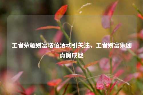 王者荣耀财富增值活动引关注，王者财富集团真假成谜