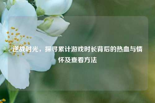 逆战时光，探寻累计游戏时长背后的热血与情怀及查看方法