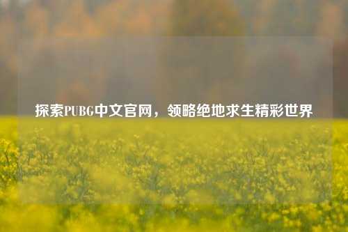 探索PUBG中文官网，领略绝地求生精彩世界
