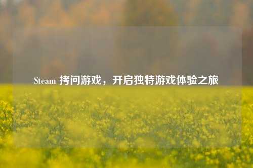 Steam 拷问游戏，开启独特游戏体验之旅