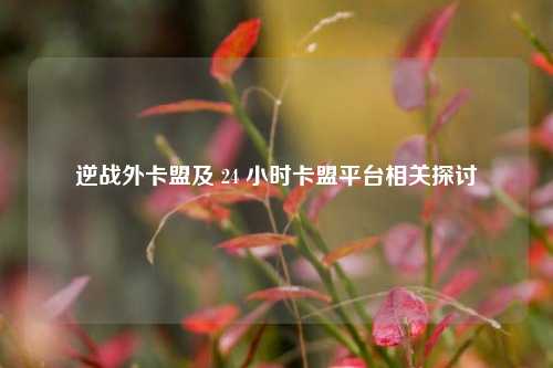 逆战外卡盟及 24 小时卡盟平台相关探讨