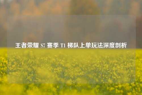 王者荣耀 S7 赛季 T1 梯队上单玩法深度剖析