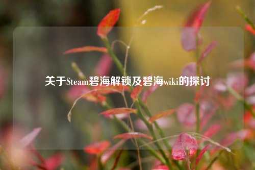 关于Steam碧海解锁及碧海wiki的探讨