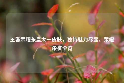 王者荣耀东皇太一皮肤，独特魅力尽显，荣耀象征全览