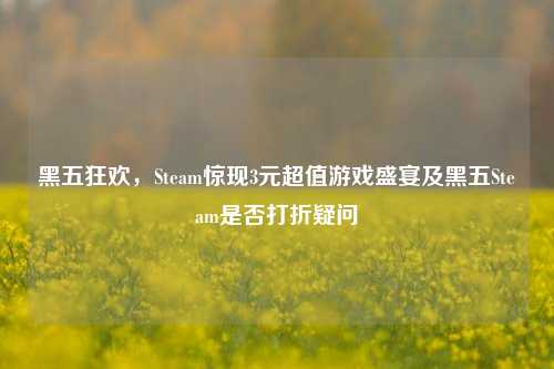 黑五狂欢，Steam惊现3元超值游戏盛宴及黑五Steam是否打折疑问