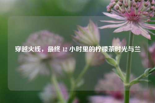 穿越火线，最终 12 小时里的柠檬茶时光与兰
