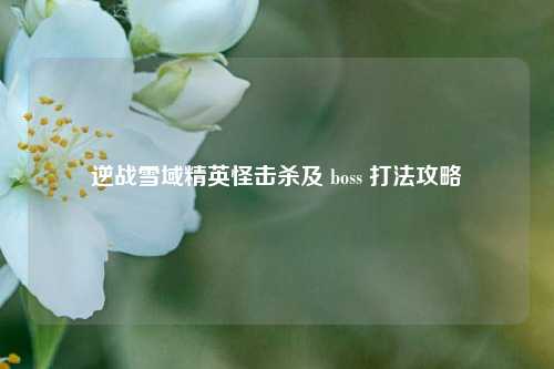逆战雪域精英怪击杀及 boss 打法攻略