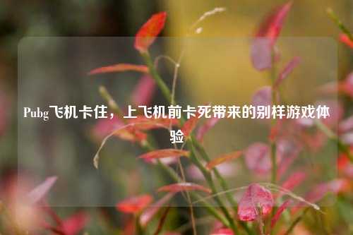Pubg飞机卡住，上飞机前卡死带来的别样游戏体验
