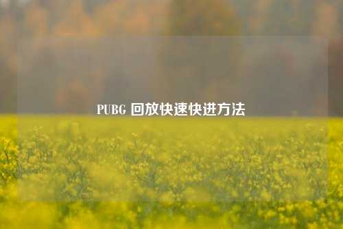 PUBG 回放快速快进方法