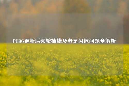 PUBG更新后频繁掉线及老是闪退问题全解析