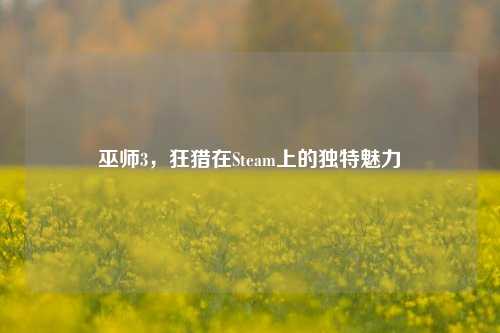 巫师3，狂猎在Steam上的独特魅力