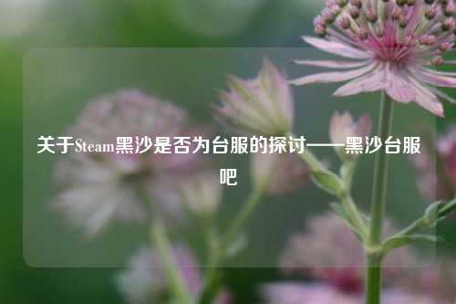 关于Steam黑沙是否为台服的探讨——黑沙台服吧