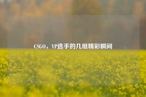 CSGO，VP选手的几组精彩瞬间